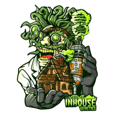 CannapotWebshop's tweet image. InHouse Genetics --&amp;gt; 20% Discount @ cannapot.com/shop/cannabis-… ... as long as stock lasts #inhouse #cannabis #420 #weedporn #seeds #inhousegenetics #cult #cannapot