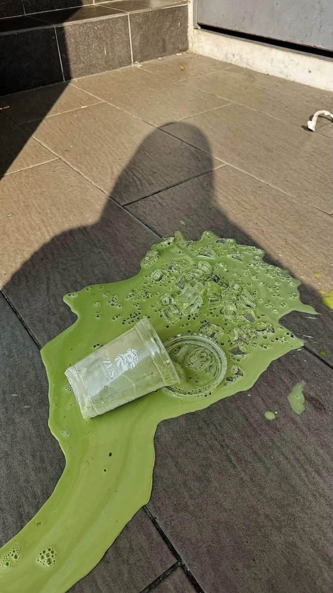 มีลูกเป็นแมว tweet media