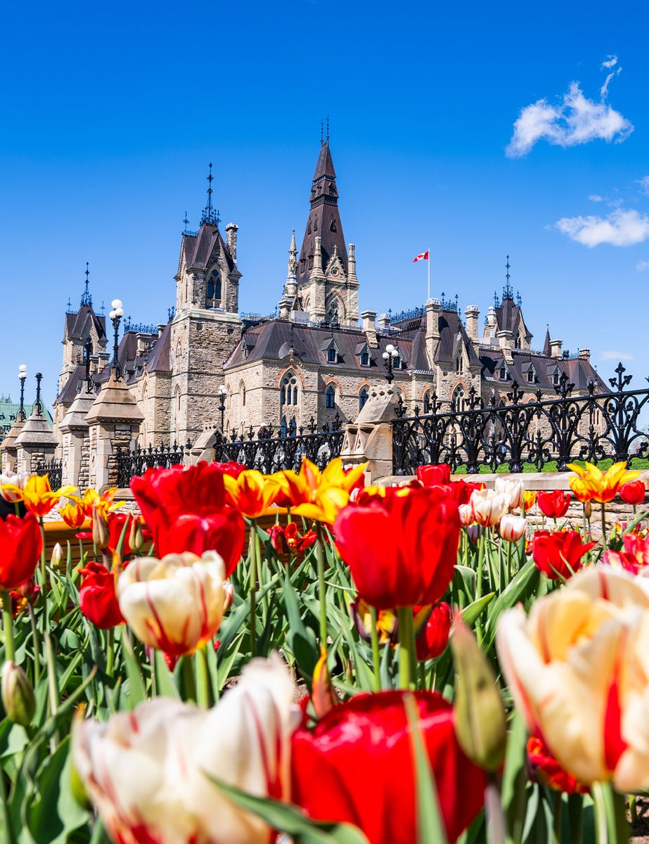 House of Commons tweet media