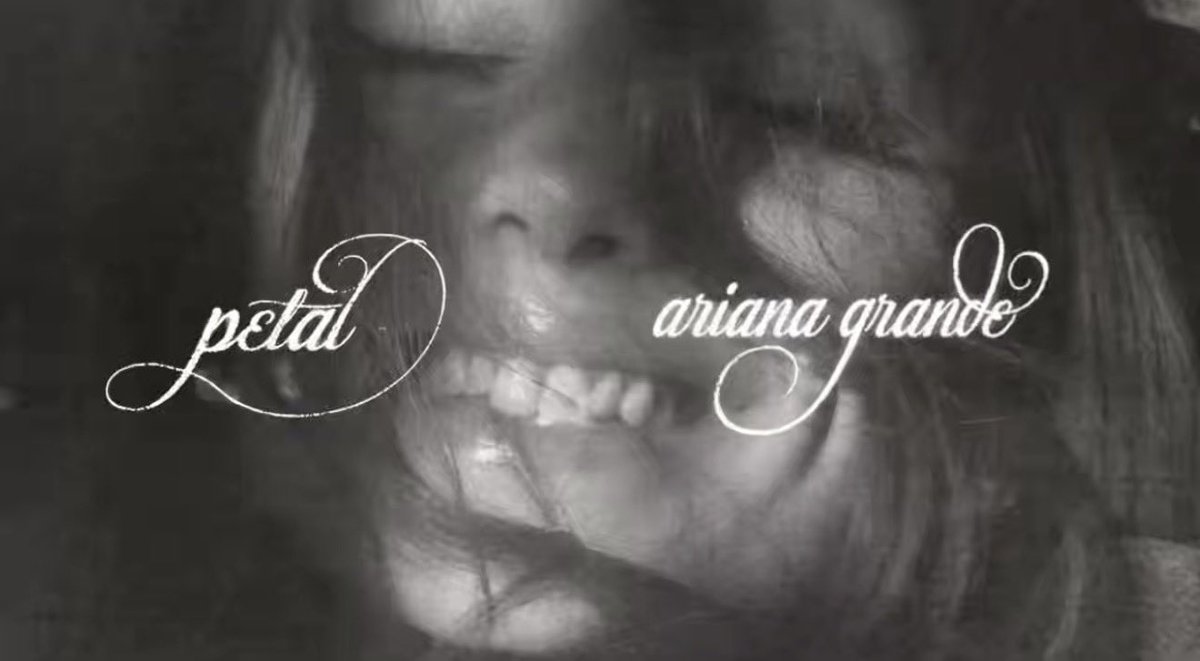 𝐀𝐝𝐚𝐦 ∞ ꕤ .˚ tweet media