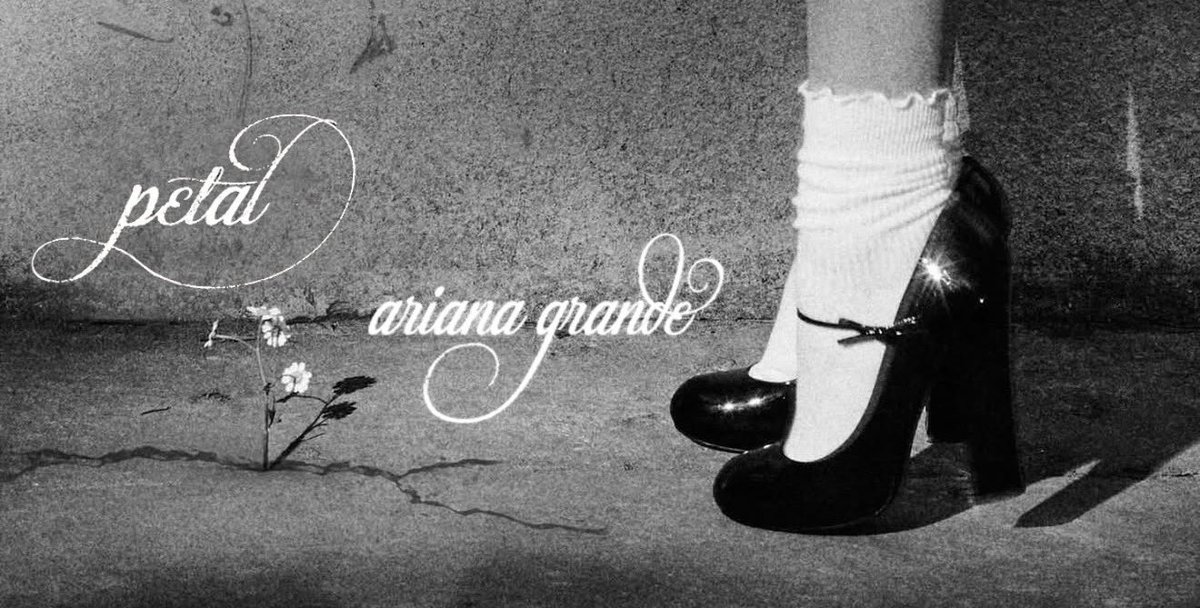 𝐀𝐝𝐚𝐦 ∞ ꕤ .˚ tweet media