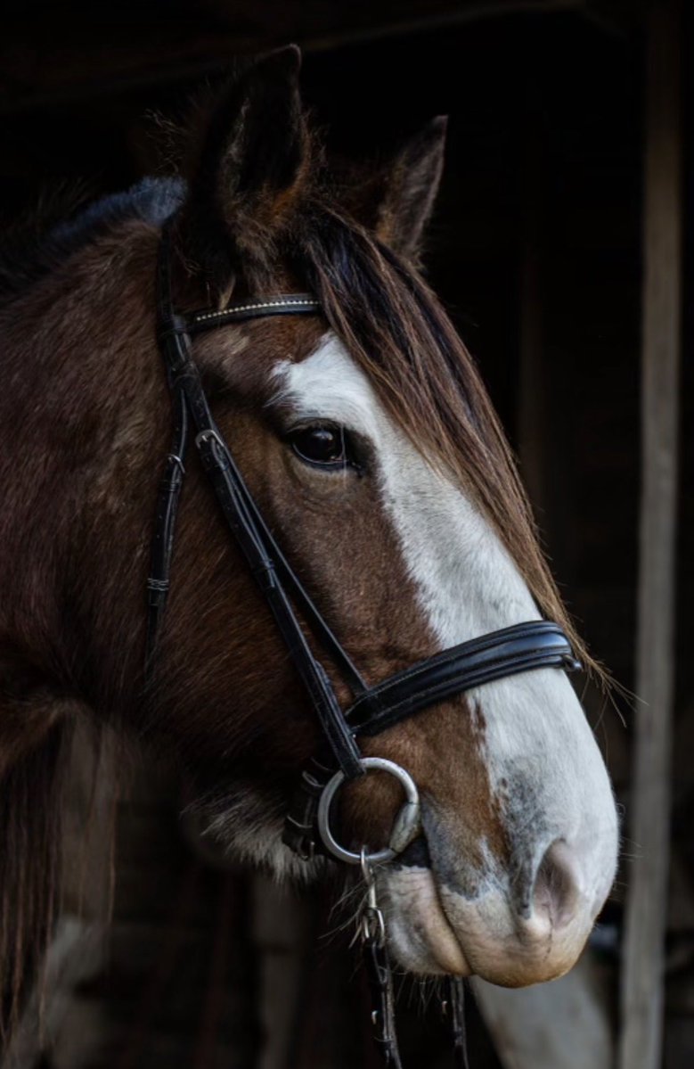 Dustin Kittle tweet media