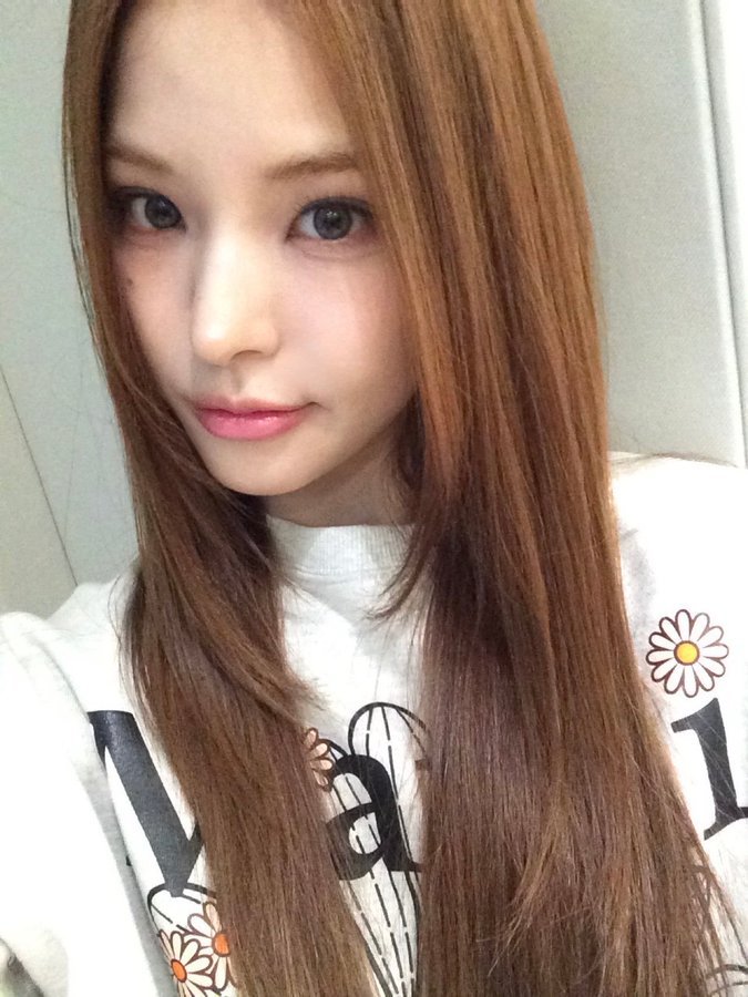 MAI_meovvloves tweet media