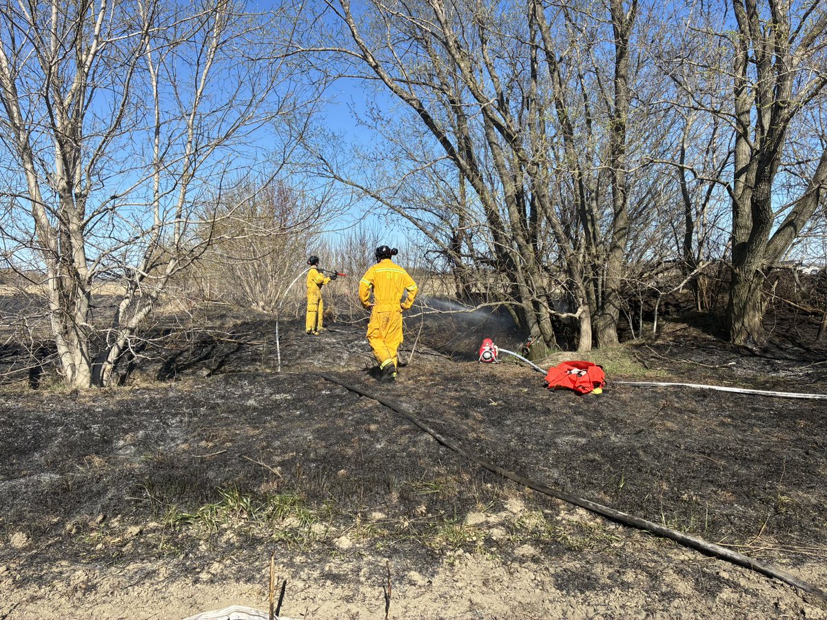 Ottawa Fire Services tweet media
