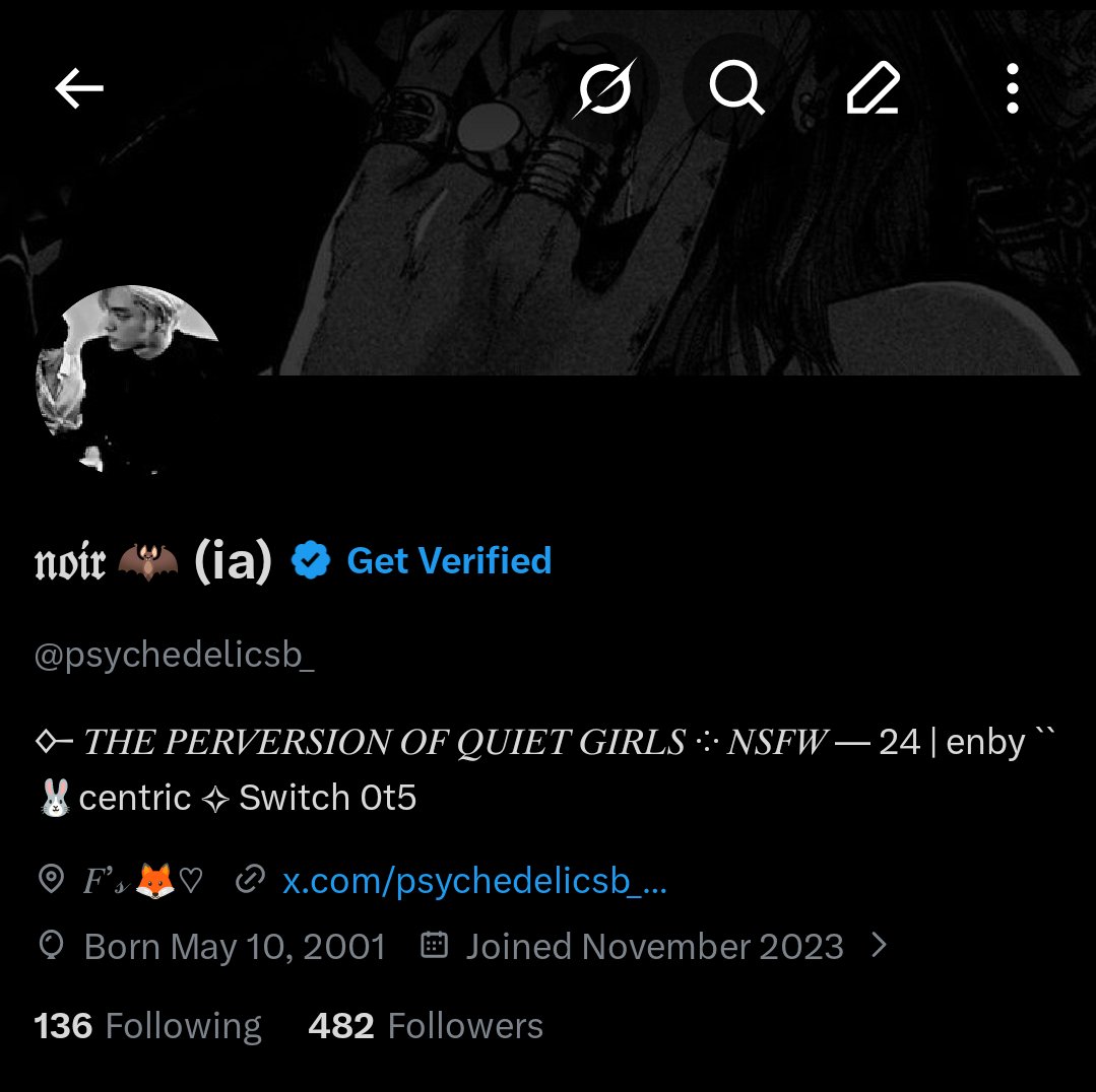 𝔫𝔬𝔦𝔯 🦇 (ia) tweet media