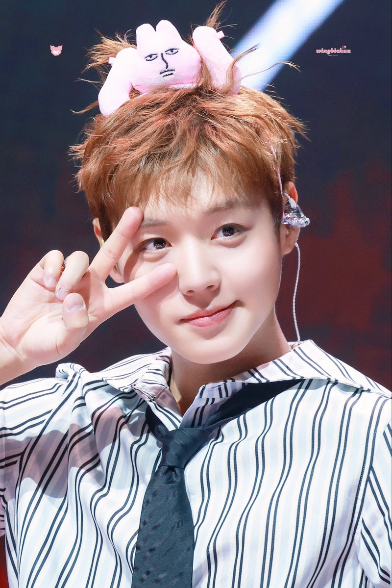 윙비츄 tweet media