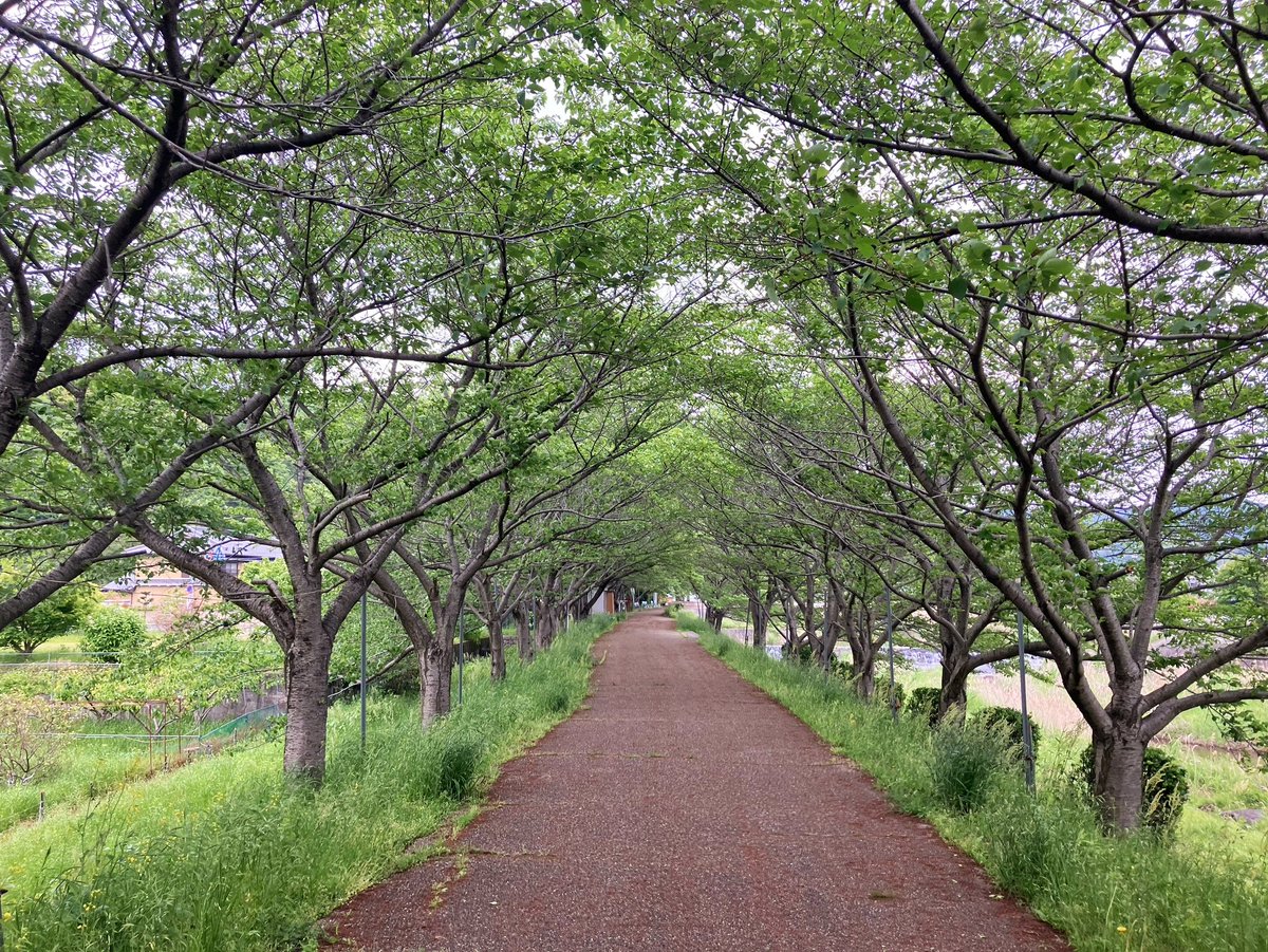 #みどりの日 は今は5月4日だけど20年前までは今日（4月29日）だったと無茶な理由付けをしてみどりにたくさん触れてきた一日。天候がマジいいシゴトしてくれた。