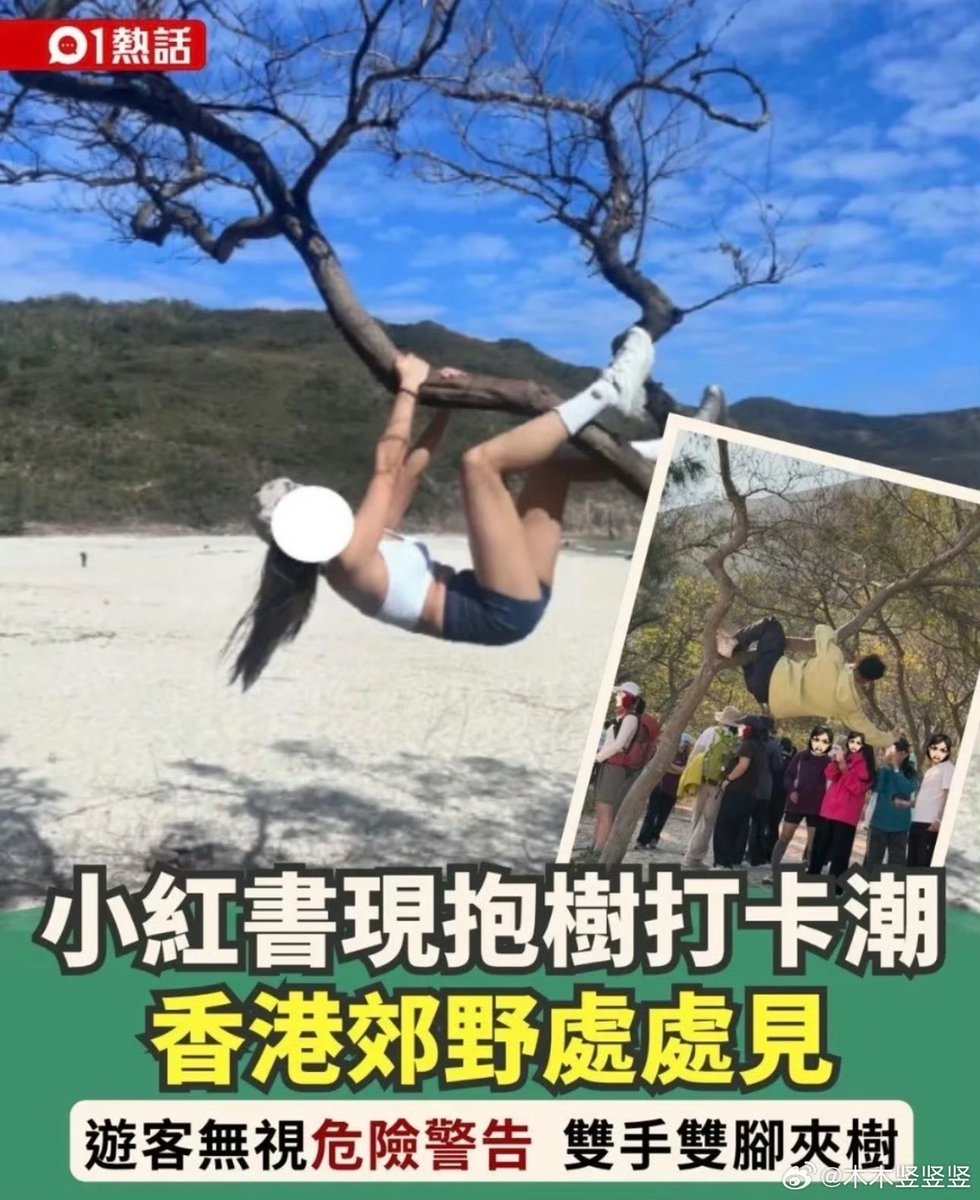 李老师不是你老师 tweet media