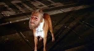 Struggle Session Musician tweet media