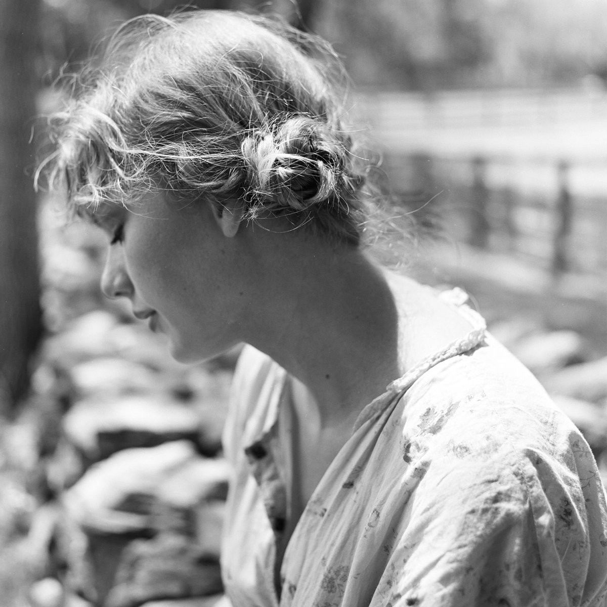 Lana Charts tweet media