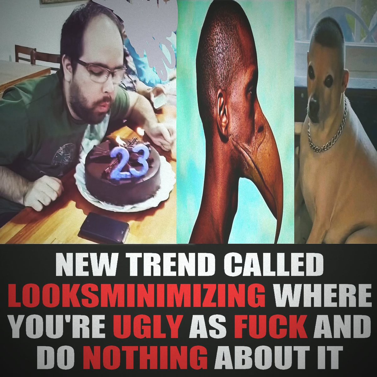 brainrot dimension tweet media