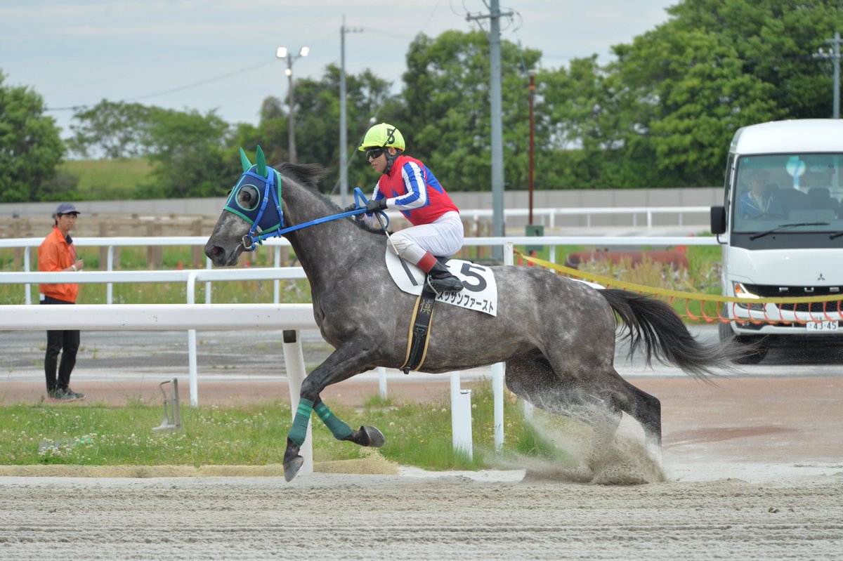 エレ(「1日1らき」投稿中) tweet media