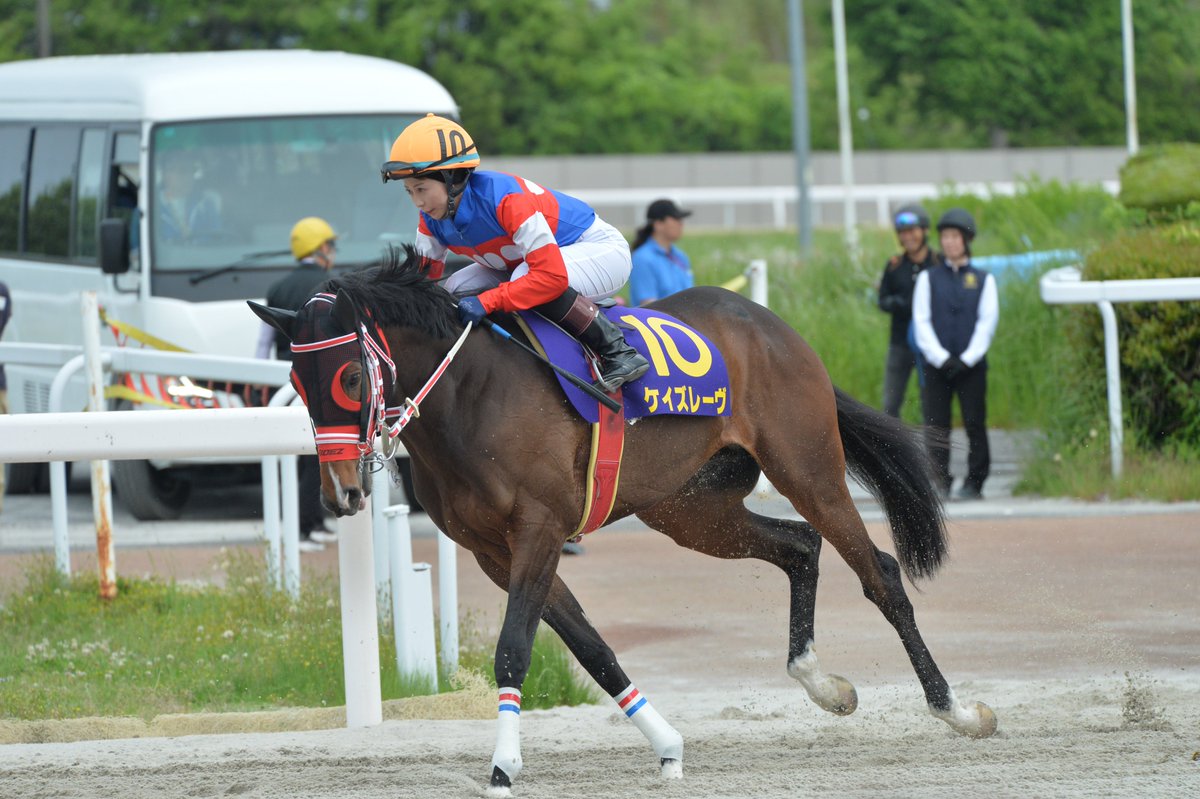 エレ(「1日1らき」投稿中) tweet media