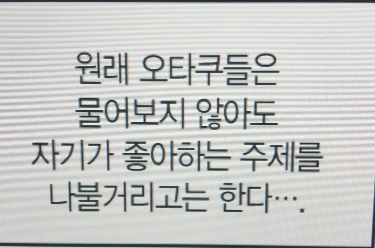 윙나잇 tweet media