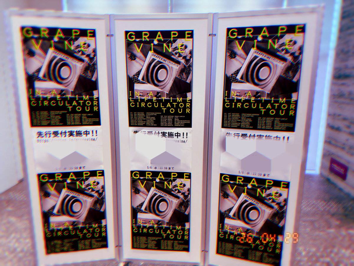 𓃓✺❖𖡼✺𖡼❖✺𓃓✺❖𖡼✺𖡼❖✺𓃓 tweet media