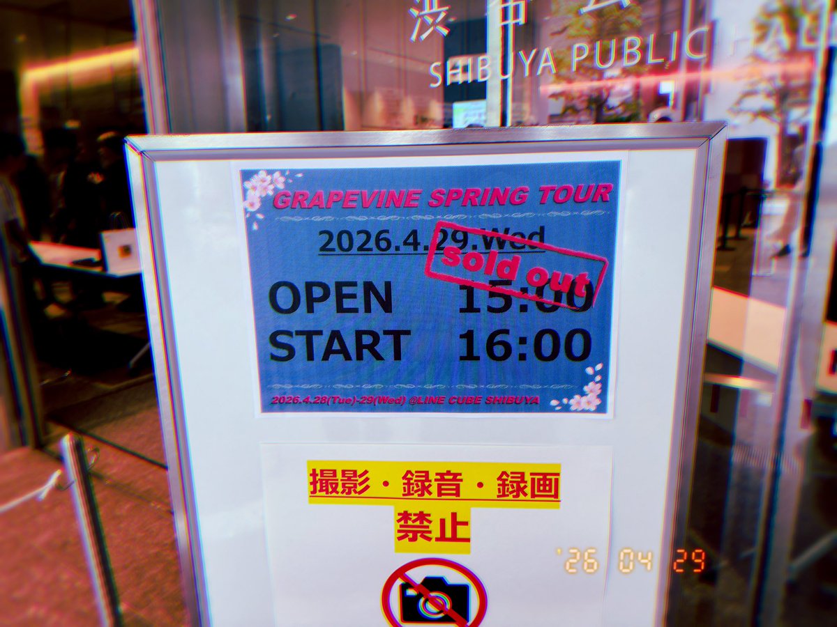 𓃓✺❖𖡼✺𖡼❖✺𓃓✺❖𖡼✺𖡼❖✺𓃓 tweet media
