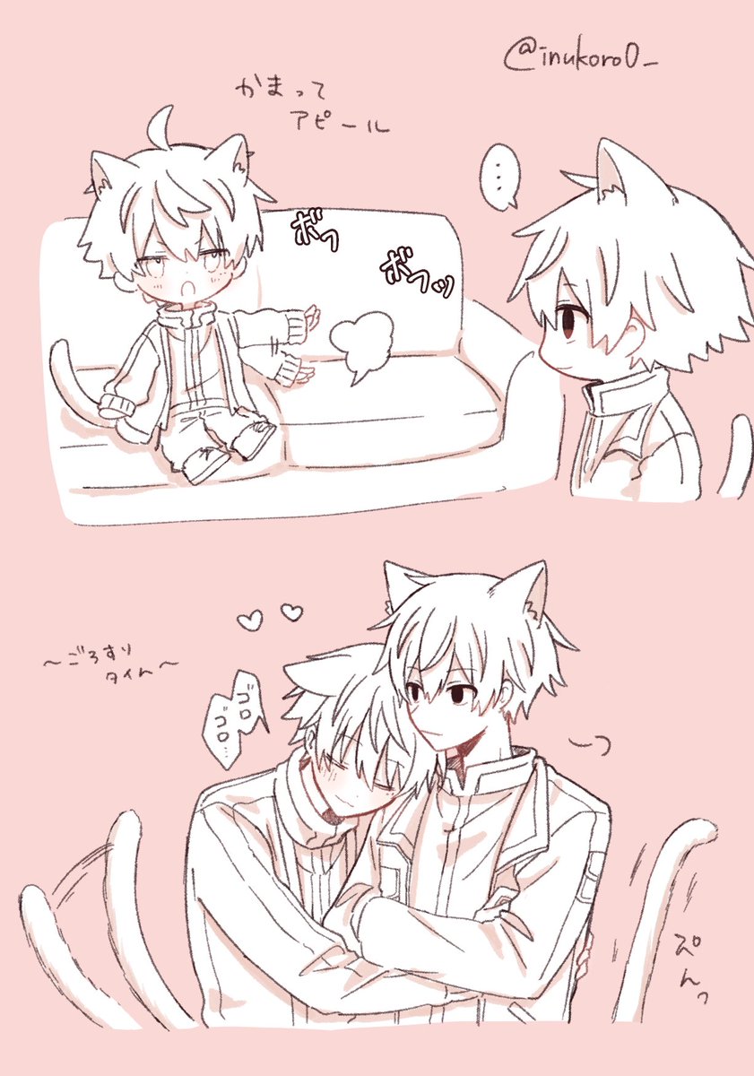 Post by いぬ on X: 🐱ますしき