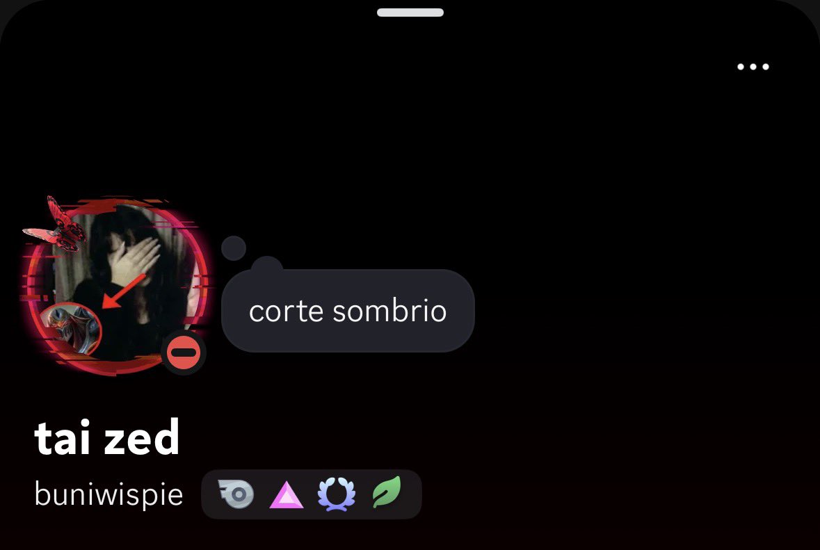 buniwispie's tweet image. auramaxxing twins