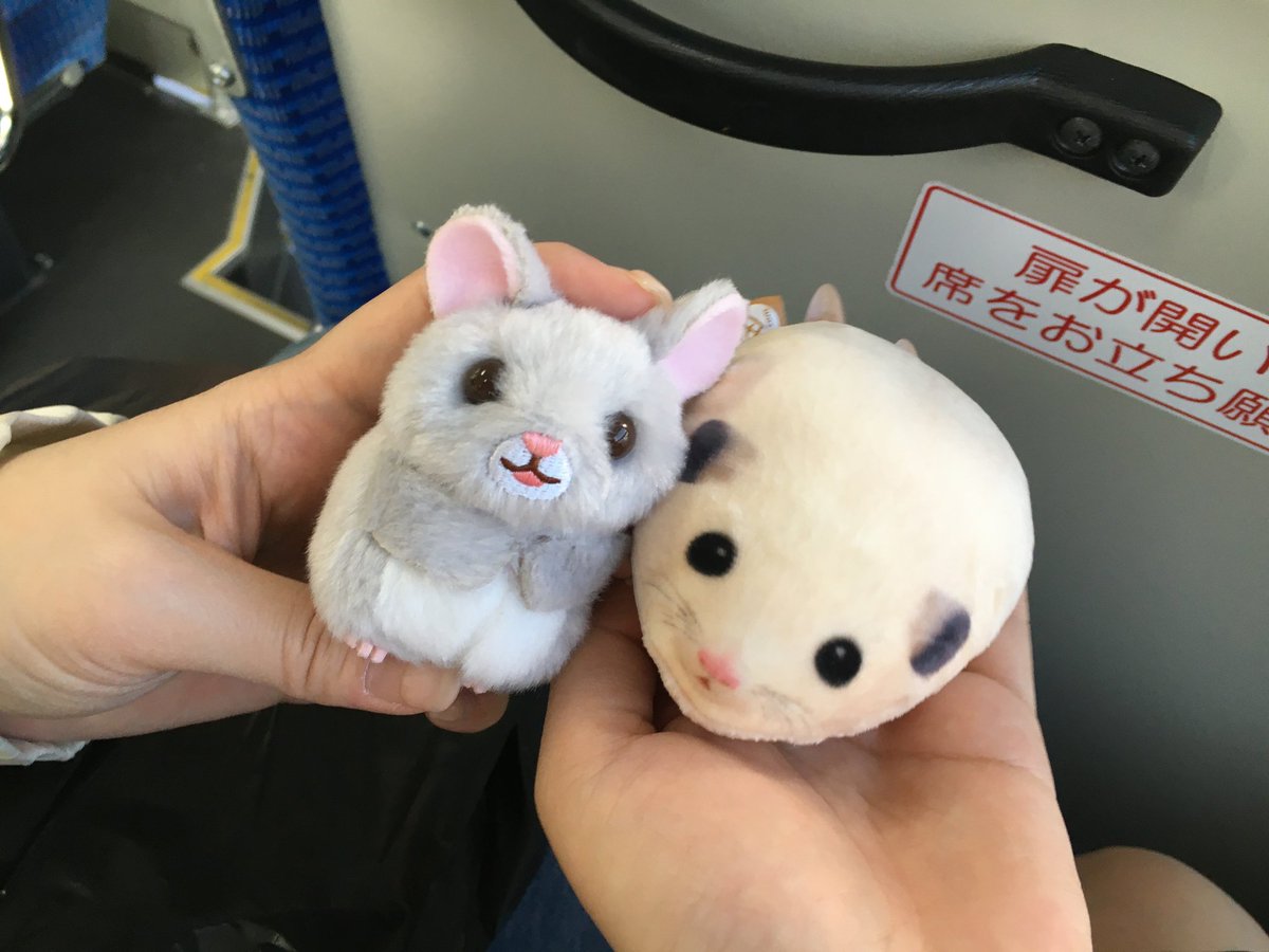 duuuumss's tweet photo. 갤러리에 온통 쥐.잖아 https://t.co/hij8jXjUjC