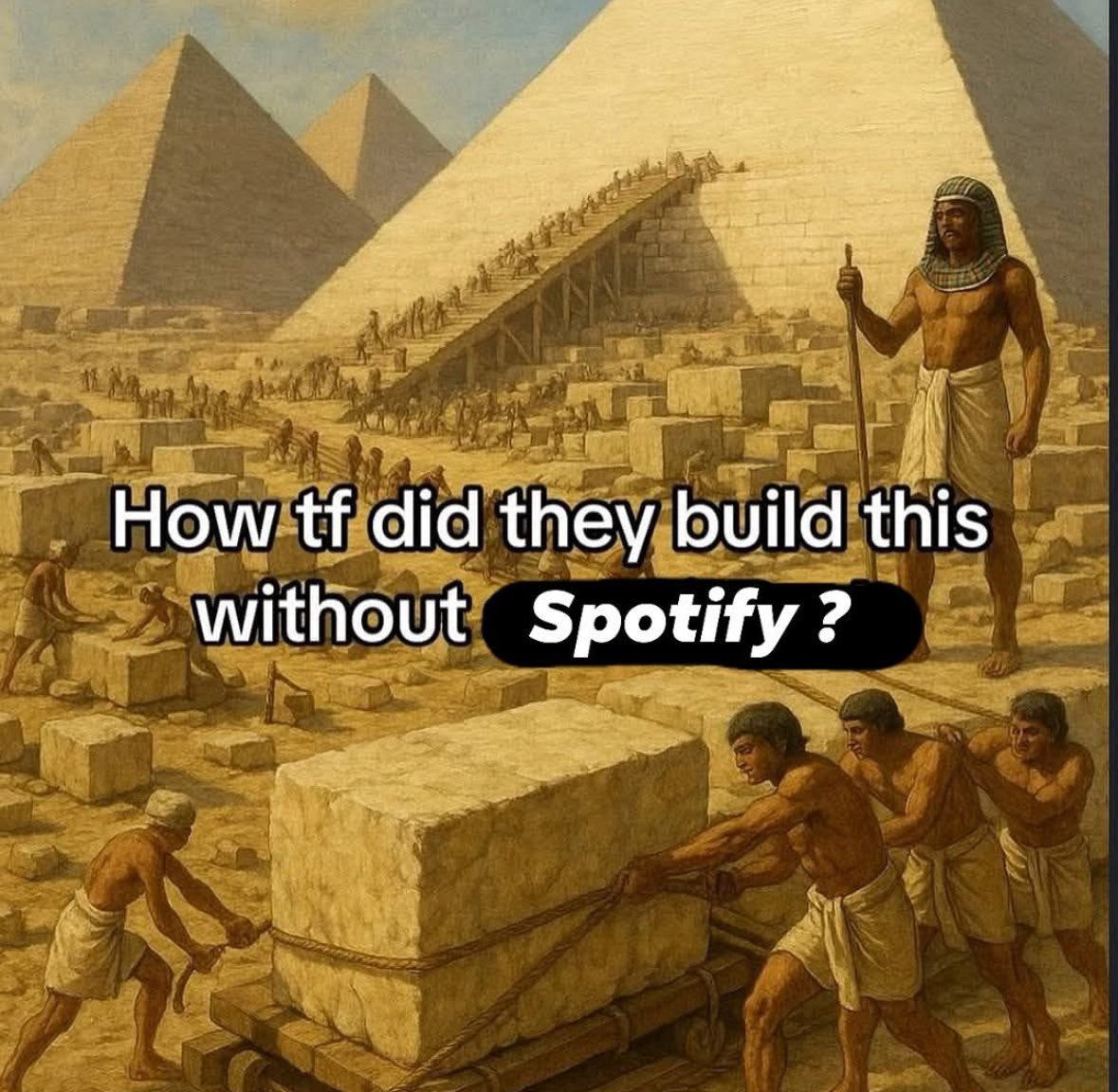 Novelle art. tweet media