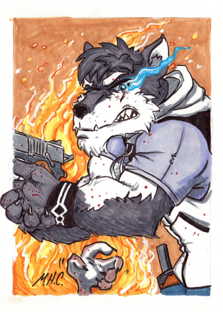 Wolf Bloody tweet media