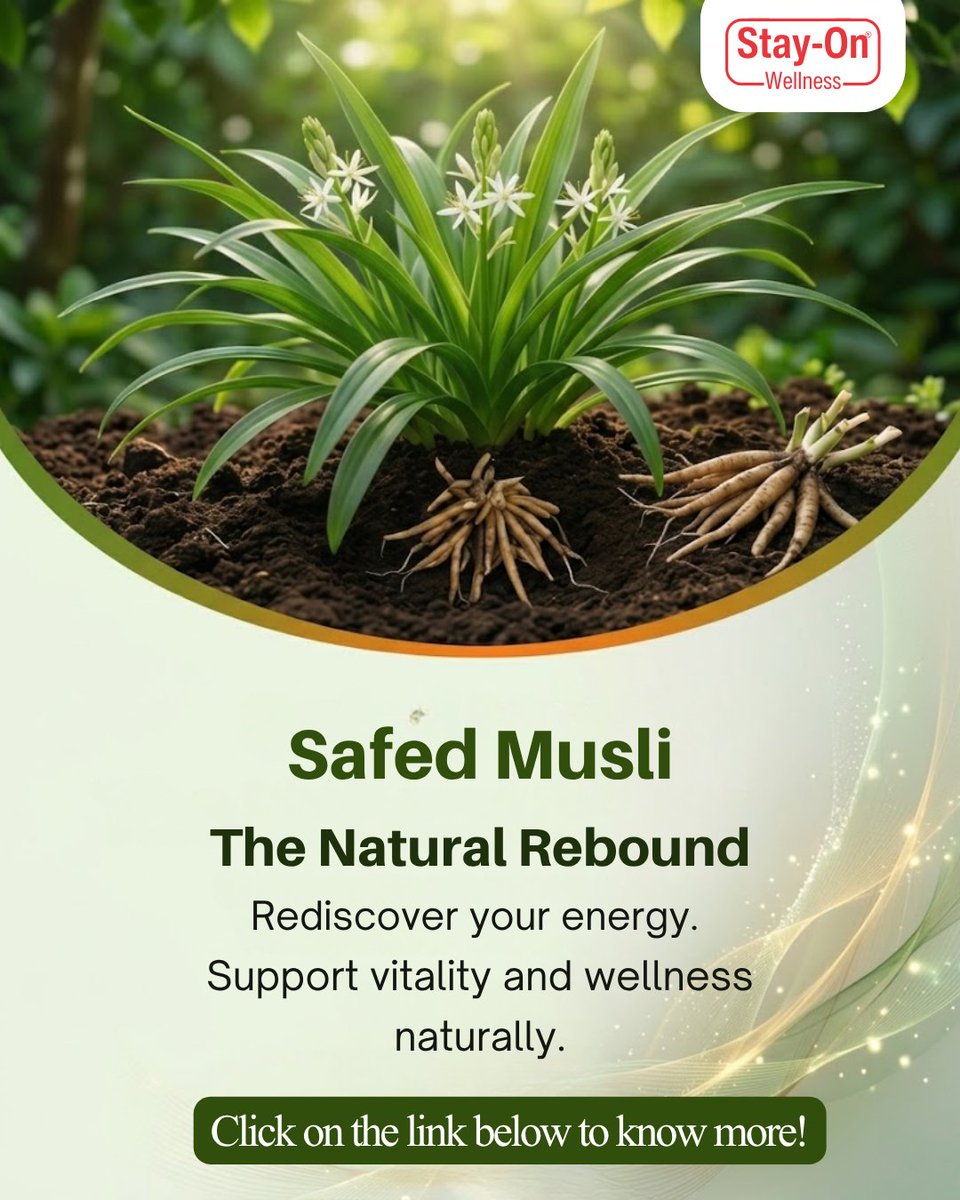 StayOnWellness's tweet image. Bounce back naturally. 🌿

Discover Safed Musli:
 stayonwellness.com/blogs/news/saf…

#StayOnWellness #SafedMusli #Vitality