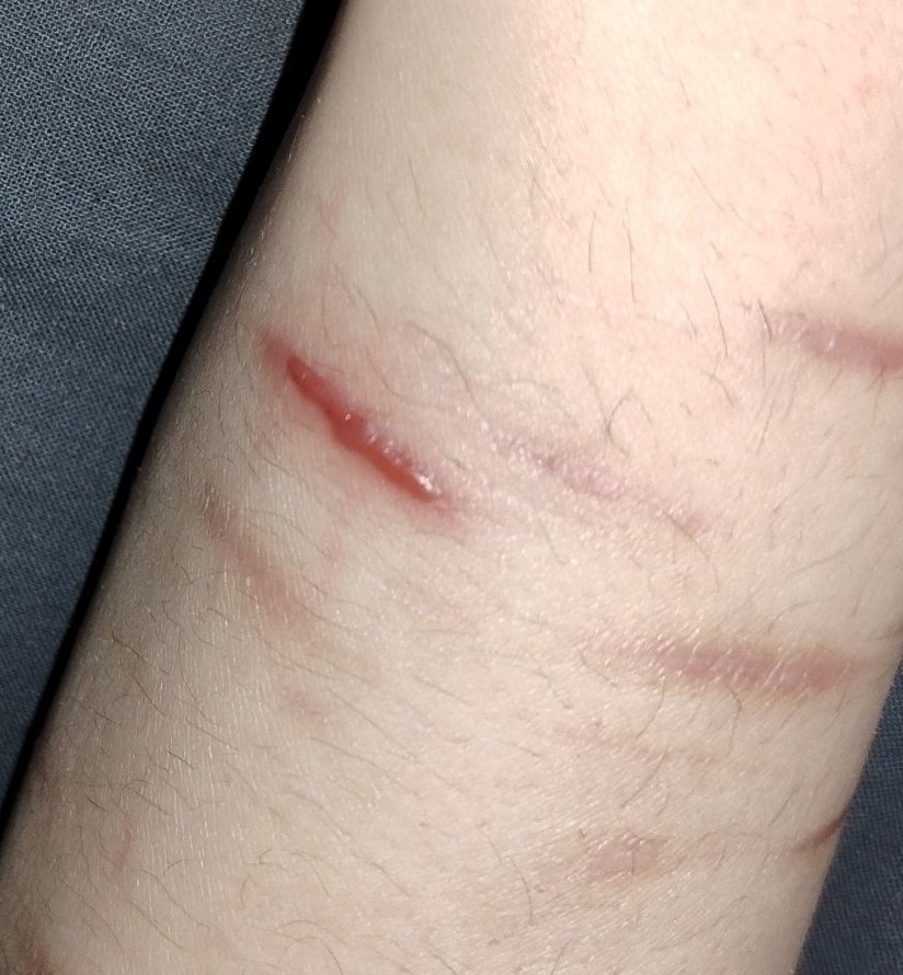 Albert Wesker of Shedtwt tweet media