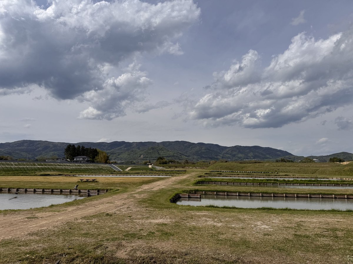 ももりンゴ🍑🍎🐈🐈‍⬛🐈‍⬛🐈🦆🦆🦆🐟🦐 tweet media