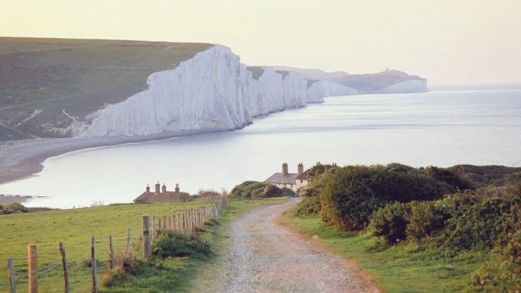 ocean 🌊 tweet media