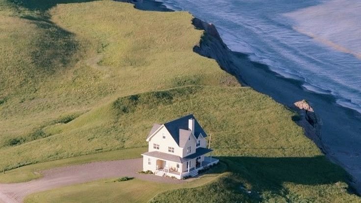 ocean 🌊 tweet media