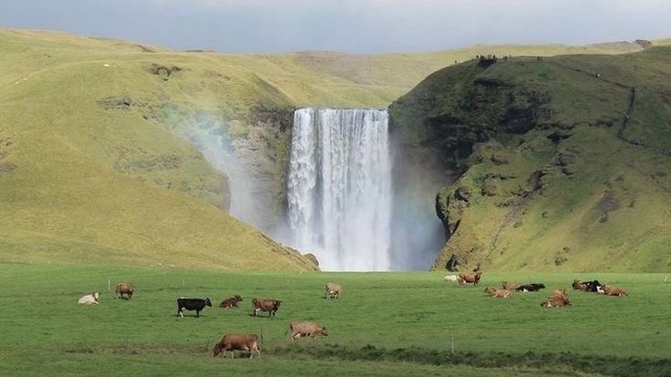 ocean 🌊 tweet media