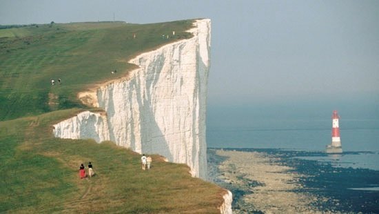 ocean 🌊 tweet media