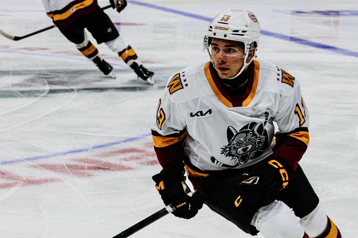 x- Chicago Wolves tweet media