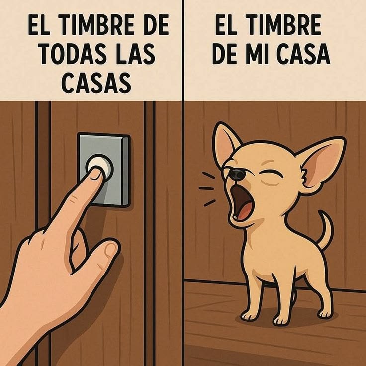 Max 🇦🇷 tweet media