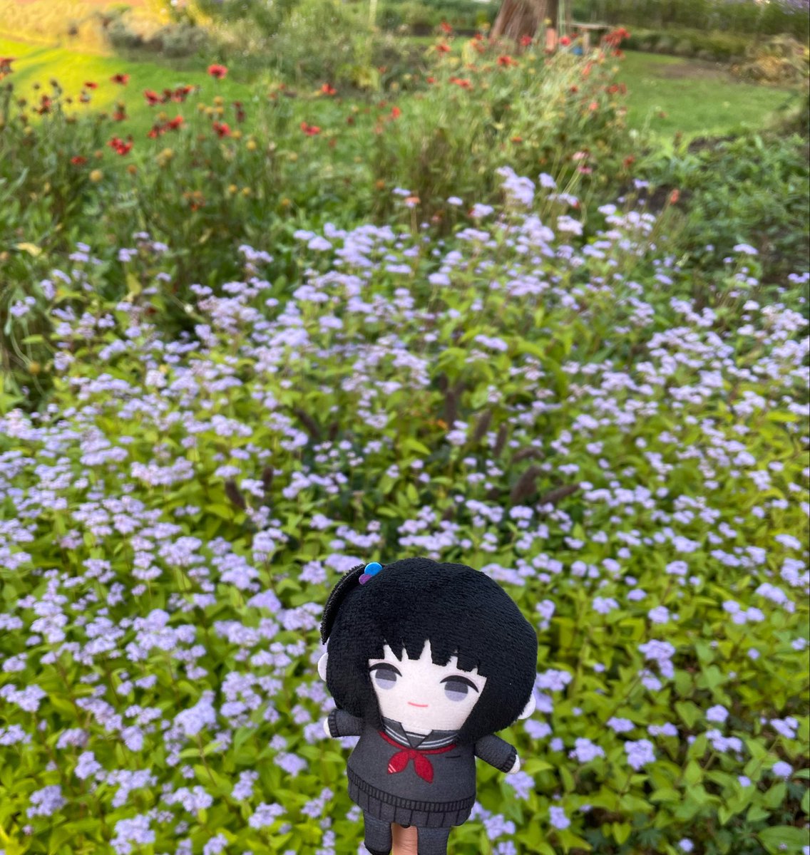 s_ray04's tweet photo. #ぱぺ森と遠足
ぱぺ森と草花 https://t.co/gbKWczHkHp