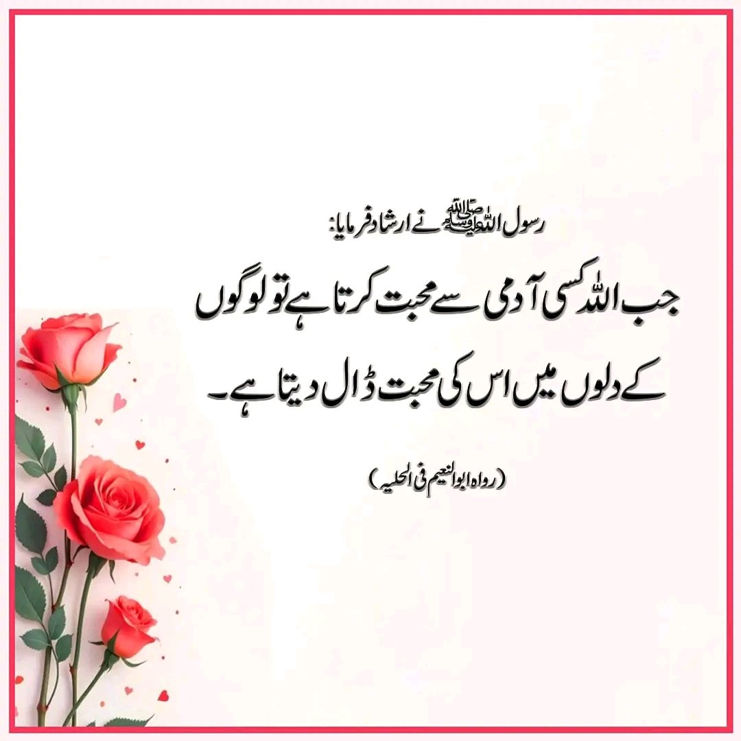 Sadia Rajpoot ⚡ tweet media