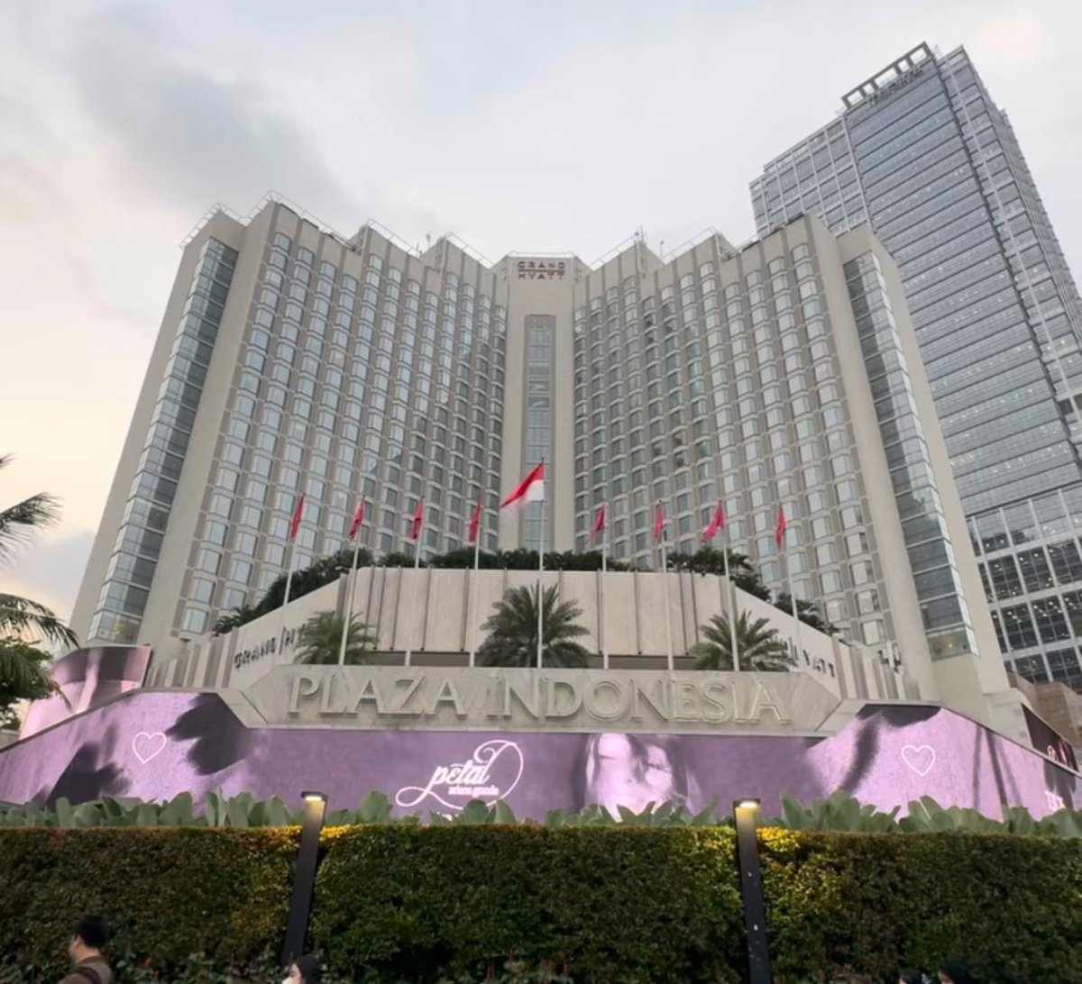 Acervo Petal tweet media