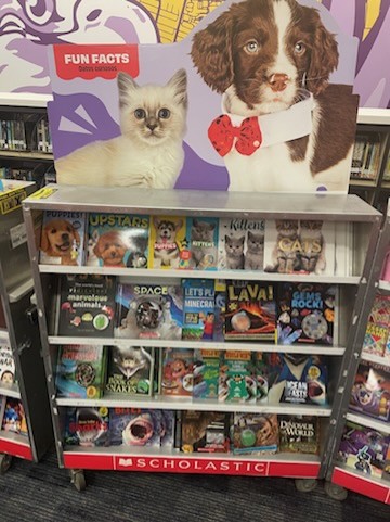 MataLibrary tweet media
