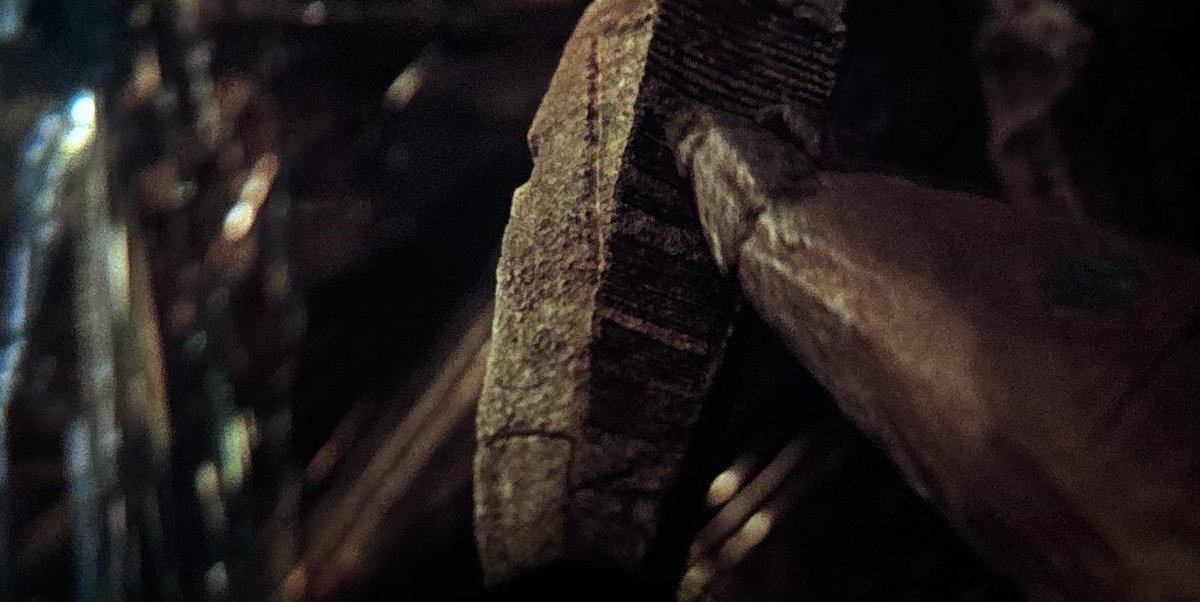 𑣲Project hail Romée || PHM🪐 tweet media