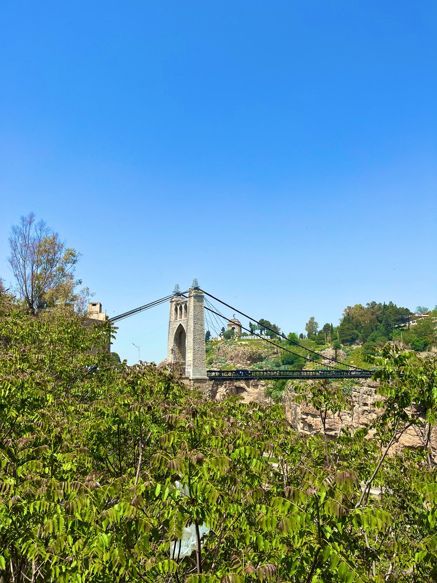 Takemichou 🇩🇿 tweet media