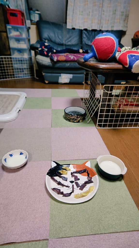 柴犬スズカとスズナ と夏鈴 tweet media