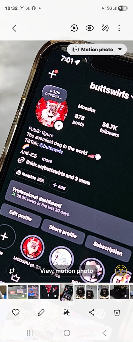 TheRealSoxChic's tweet image. Go Follow #SoxChic Fav Dog from #WhiteSox  #DogDay 2026 it was a bad rain delay but that didn't stop #ButtSwirls from coming out to the Rate.  Follow him on @instagram he has more followers than most of us humans lolbs.