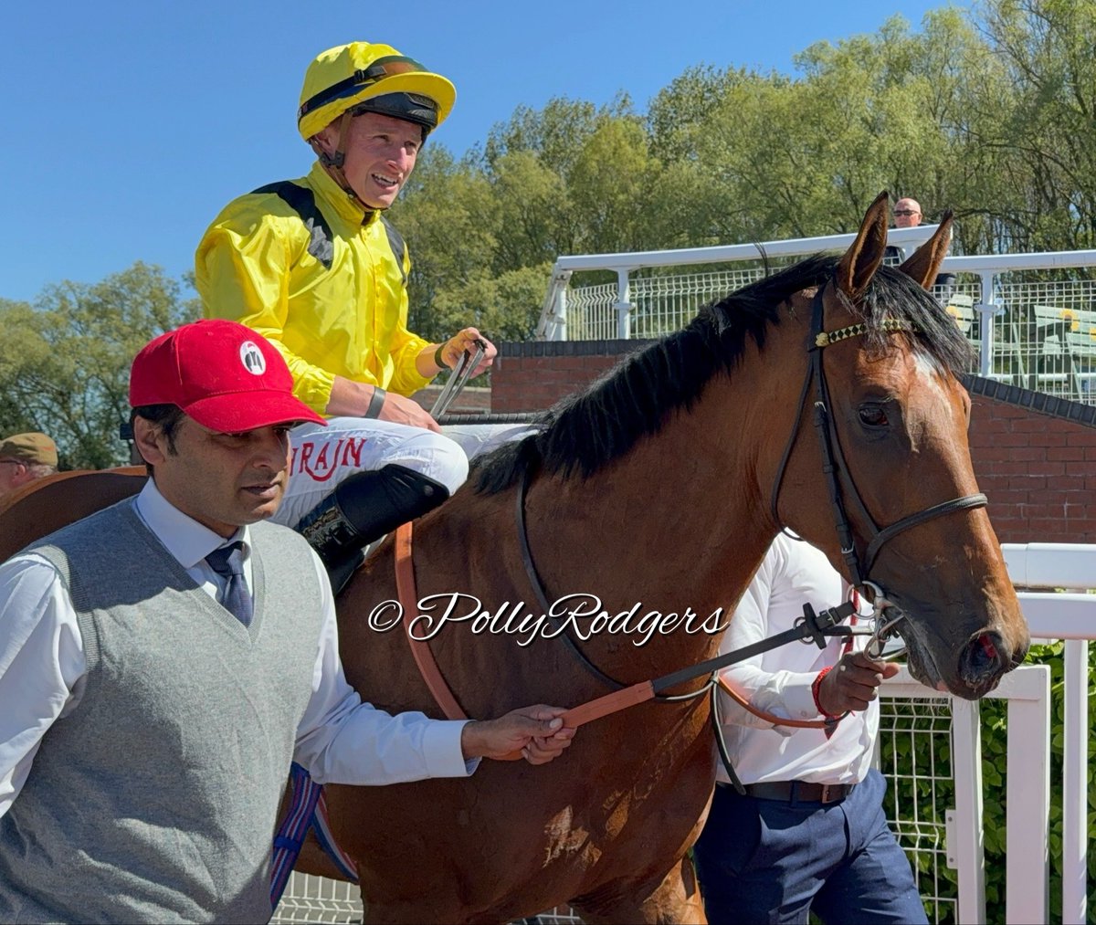 PollyRodgers's tweet photo. Winner; INFRAAD 
@TomMarquand @WilliamHaggas #PonteRaces https://t.co/czY4x2tgBd