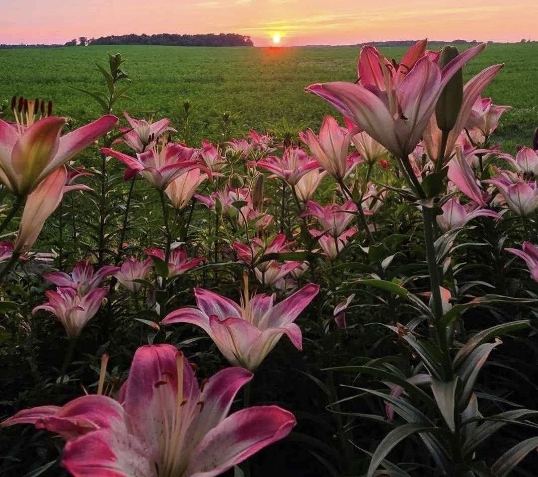 HeavenOnEarth tweet media