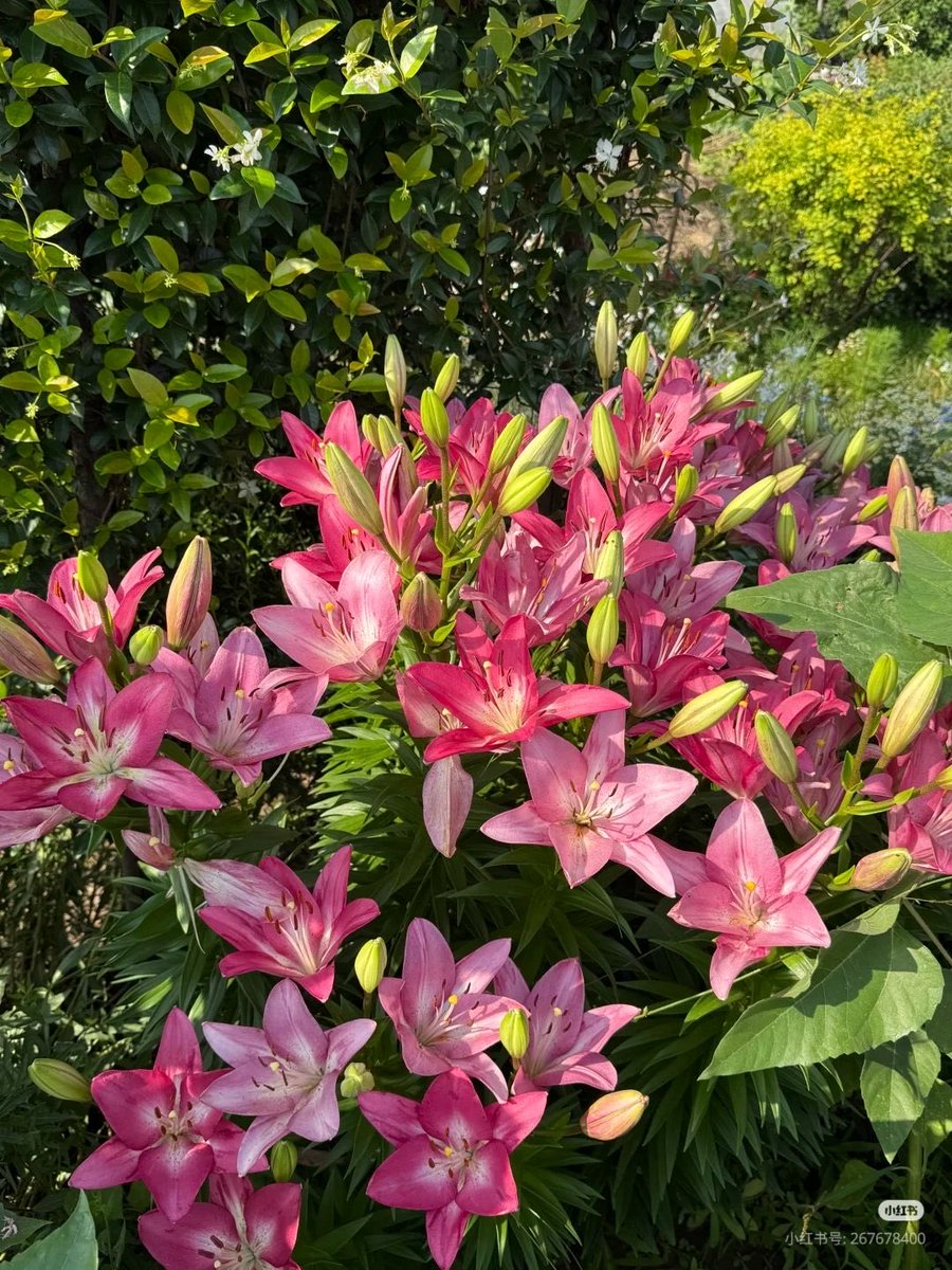 HeavenOnEarth tweet media