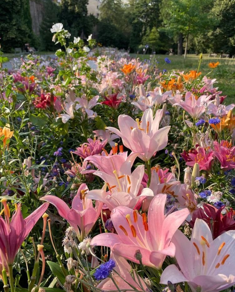 HeavenOnEarth tweet media