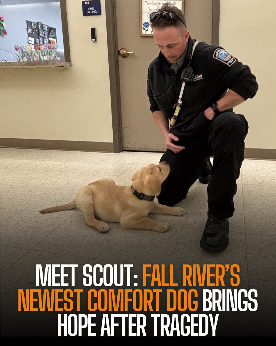 Fall River Reporter tweet media