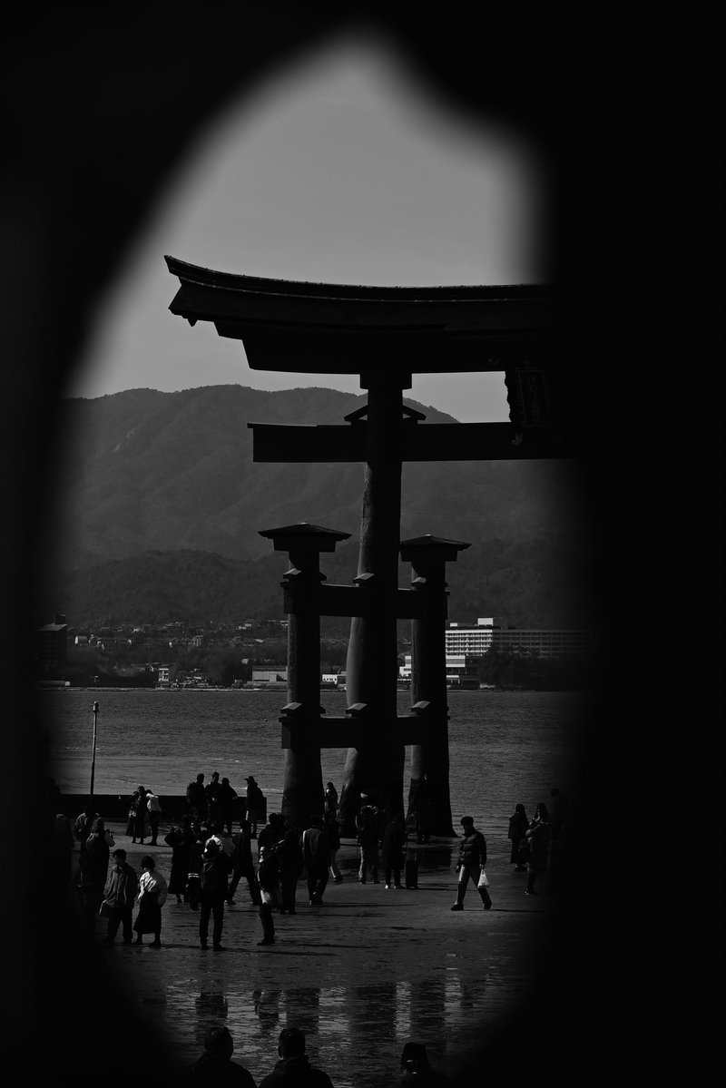 J8_MH_SB's tweet image. Miyajima, quietly.

 #streetphoto
 #japan
@CaptureStreets