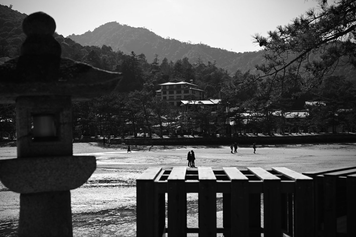 J8_MH_SB's tweet image. Miyajima, quietly.

 #streetphoto
 #japan
@CaptureStreets