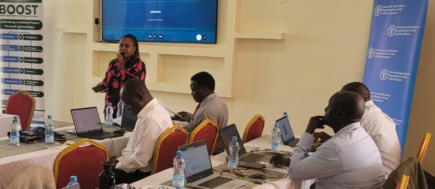 FAO in Kenya tweet media